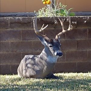 Meet your Posher, Abraham